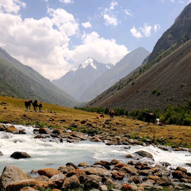 Ala-Archa National Park, Kyrgyzstan 🏔️🌲 Ala-Archa National Park, Kyrgyzstan 🏔️🌲