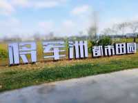 🌾 Urban Fields of Dejunzhou: Nature Thrives in the City