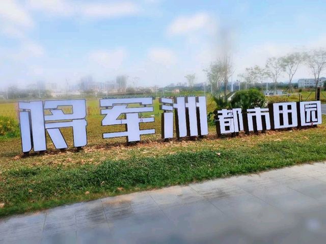 🌾 Urban Fields of Dejunzhou: Nature Thrives in the City