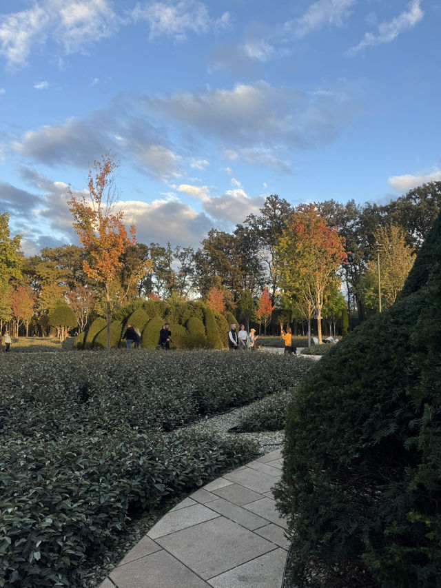 🍁 : I Found Japan in Krasnodar. A Story That Shook My Soul