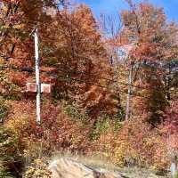 Algonquin Provincial Park