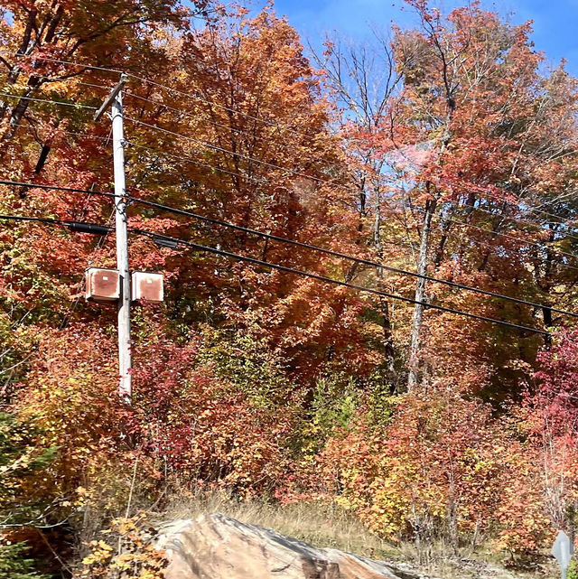 Algonquin Provincial Park