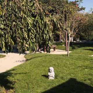 크라스노다르 공원의 일본식 정원