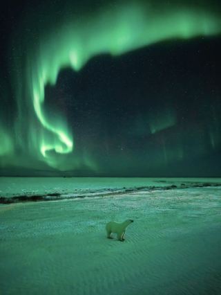 Chasing Heartbeats and Northern Lights