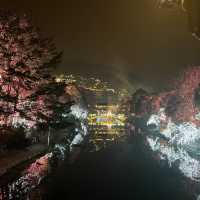Guizhou- 西江千户苗寨- 2-day trip. 