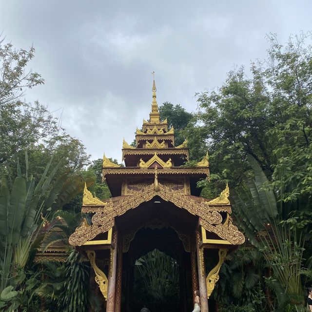 Xishuangbanna in April
