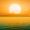 lumina_5568