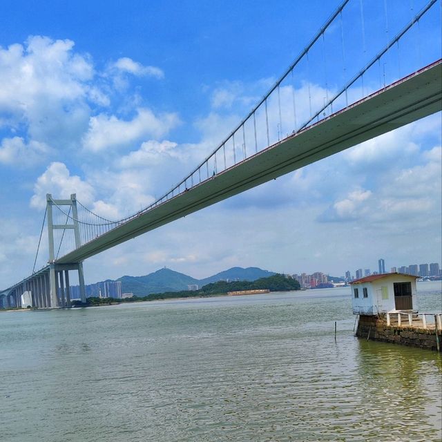 Pearl River Bridge and awesome sculpture! 🌉