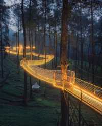 Beautiful and magnificent orchid forest Cikole Lembang.