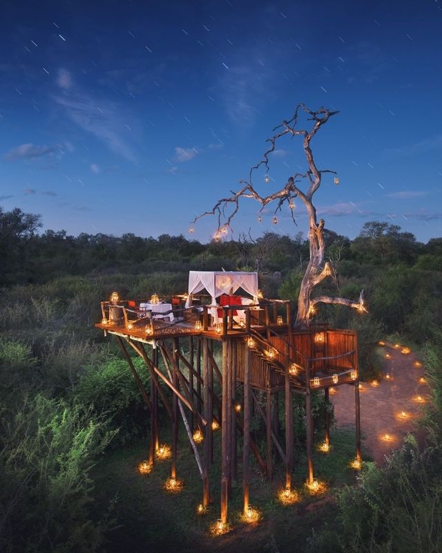 Dreaming of living in a treehouse? 😍