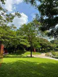 綠意盎然的寶安城市公園，親近大自然休閒好去處