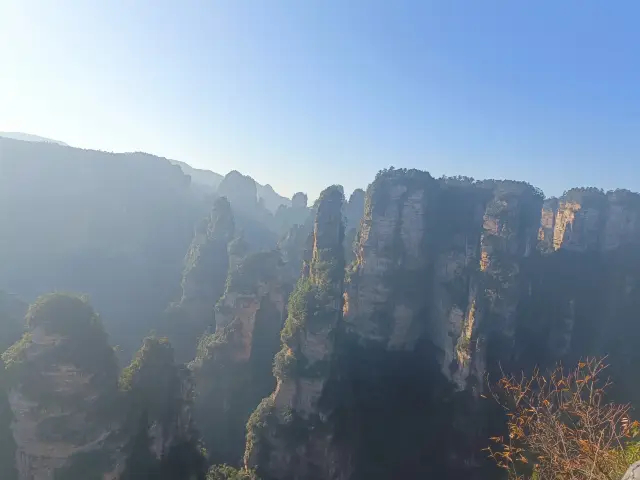 Zhangjiajie Forest Park (Yuanjiajie, Yangjiajie, Tianzi Mountain, Ten-Mile Gallery, Golden Whip Stream)