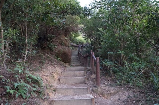 西灣河後山小徑．一小時散步之旅
