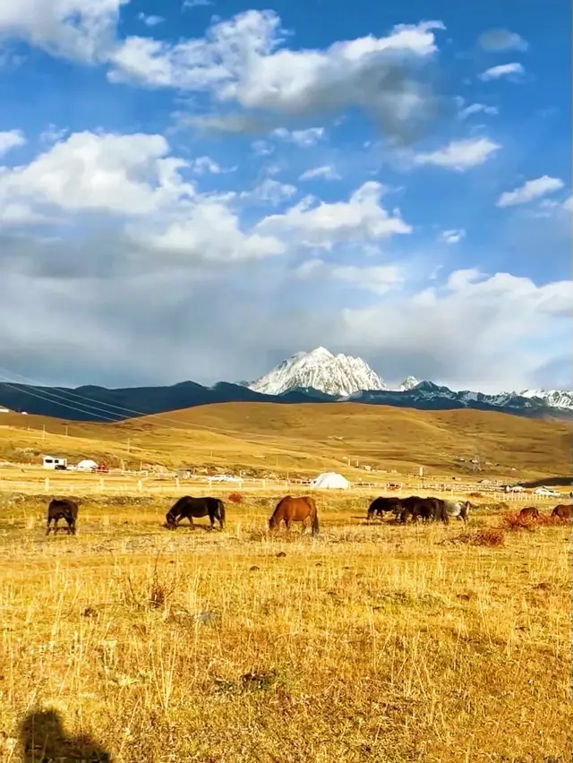 The snowy mountains and pastures are my ideal place to live