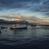 Whale watching in Hermanus!