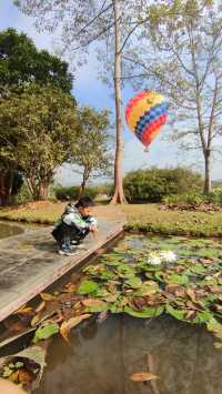 西雙版納中科院植物園，告莊出發攻略