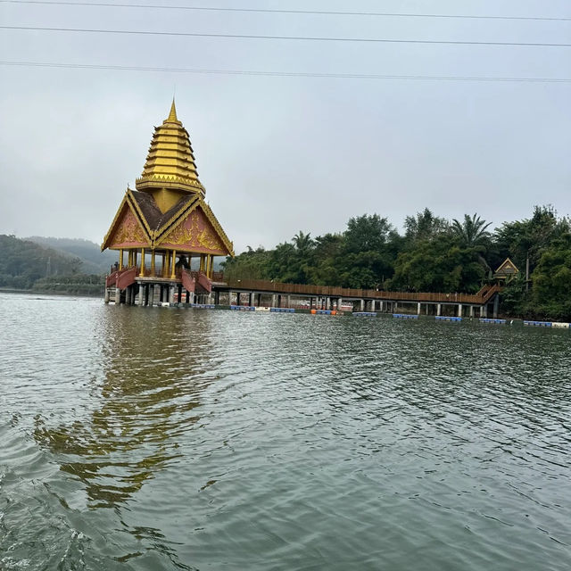 休閒遊，勐臘縣望天樹熱帶雨林國家公園