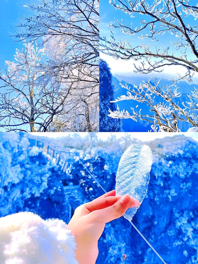 春節想看這樣的張家界，聽我10句勸!