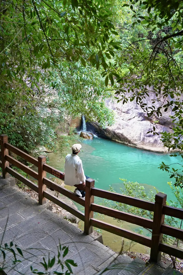 Everyone thought I went to Jiuzhaigou! Actually, I'm in Guangzhou