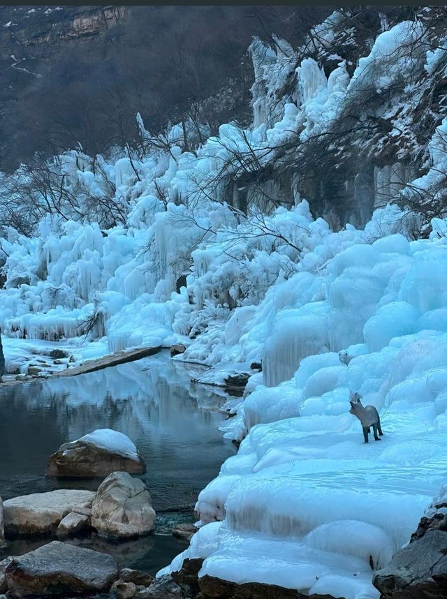 焦作雲台山旅遊攻略