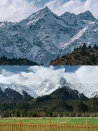 西藏林芝來古冰川深度遊：5天4夜，盡享雪域奇景！