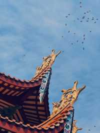 福州必遊•西禪古寺 | 闹市中的千年古刹