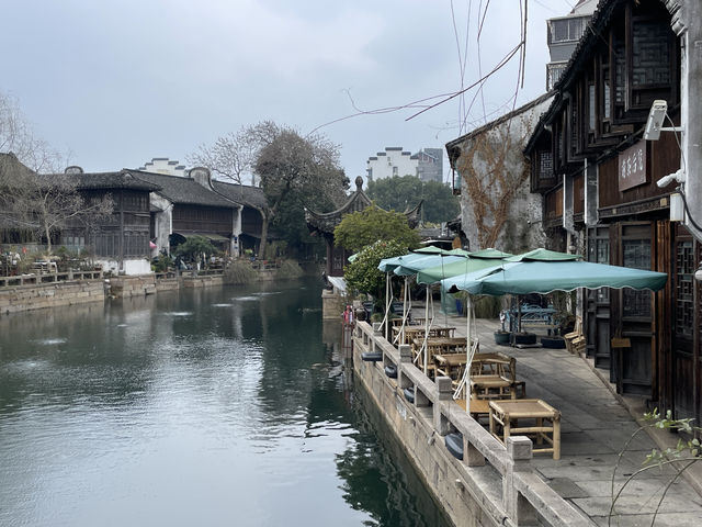 嘉興｜月河歷史街區，居然還有花鳥市場可以逛