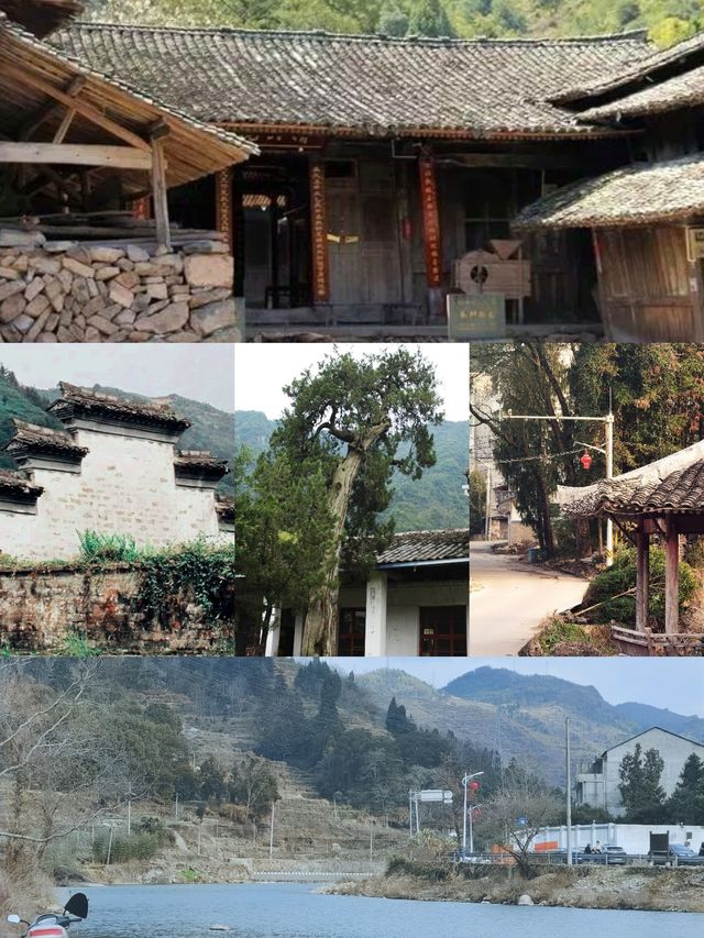 過大年:永嘉休閒二日遊 過大年:永嘉休閒二日遊