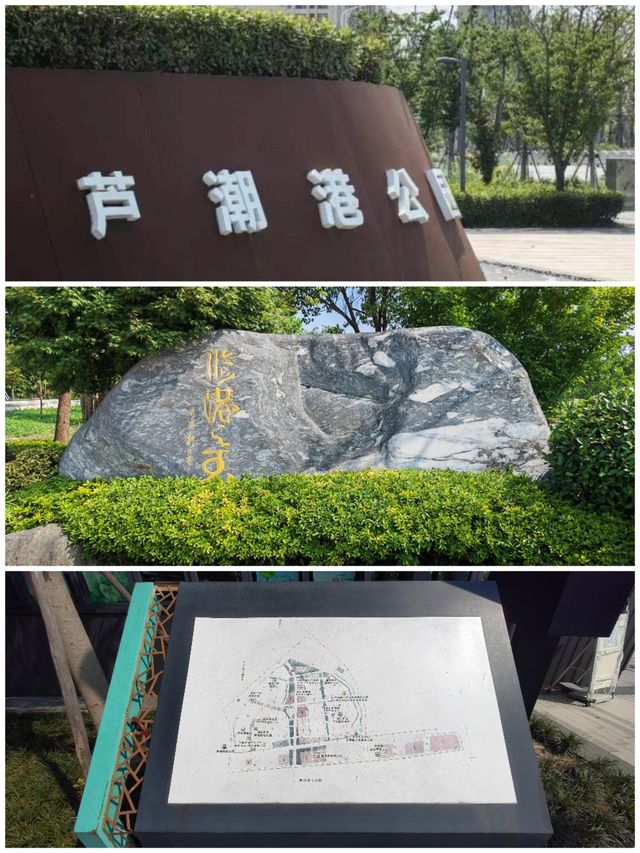 臨港的海綿公園丨蘆潮港公園