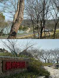 走進植物王國：太湖植物園遊記