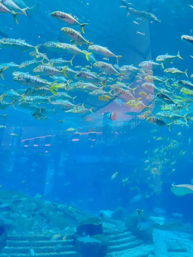 從寧波-2°出發，海南16°落地，感覺整個人都活了