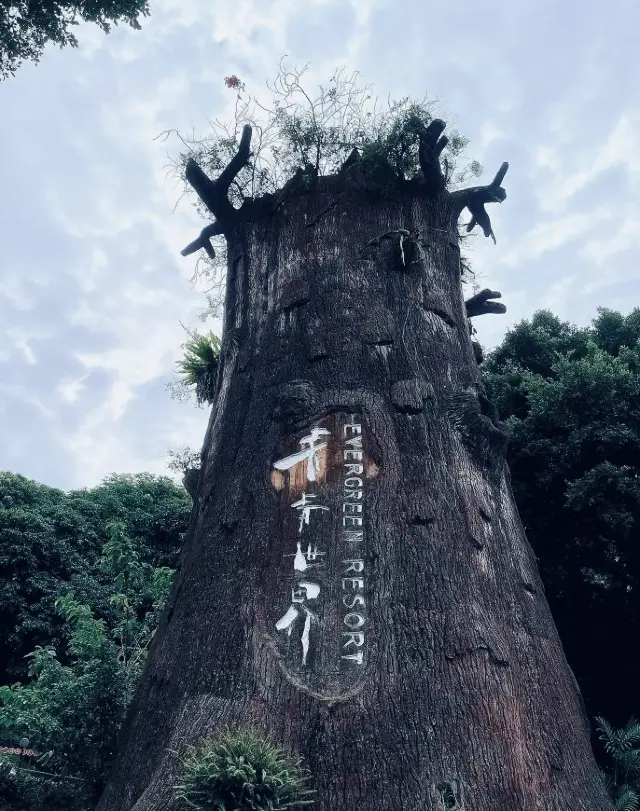 青々とした世界：都市の中に隠れ、騒音から遠ざかる