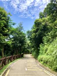 銀湖山郊野公園