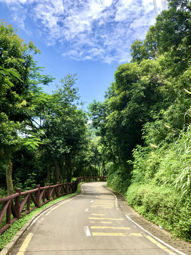 銀湖山郊野公園
