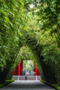 別再去武侯祠擠拍紅牆了，這個古風公園絕了