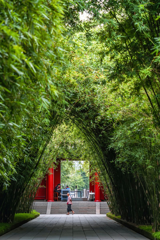 別再去武侯祠擠拍紅牆了，這個古風公園絕了