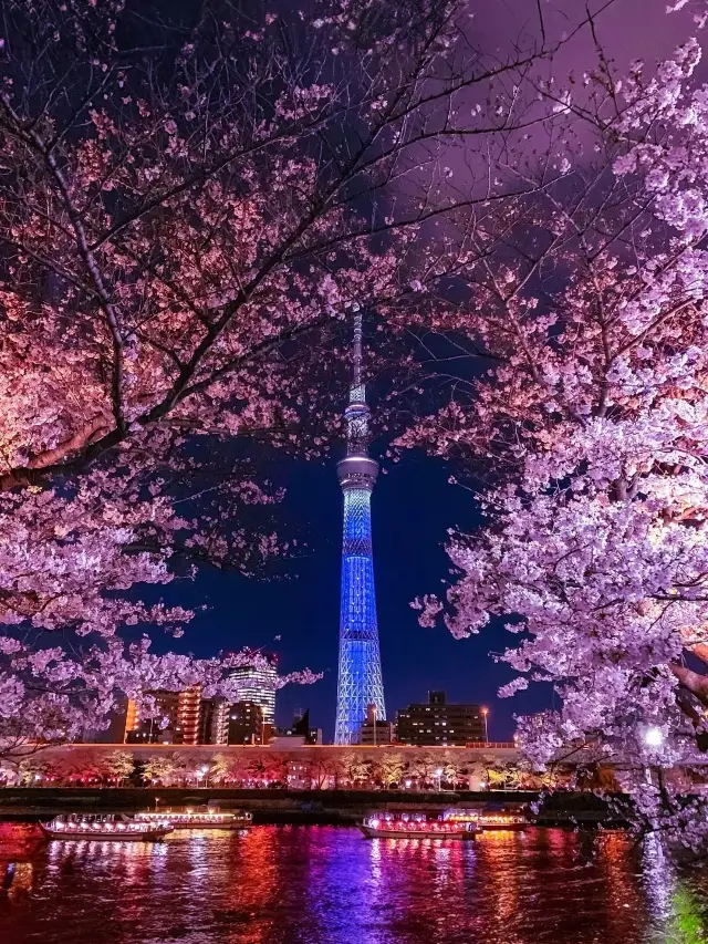 Cherry Blossom Season in Japan! None of the 7 major Tokyo train viewing spots is a disappointment