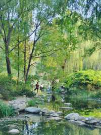 山東濟南森林公園｜邂逅秋天的美！