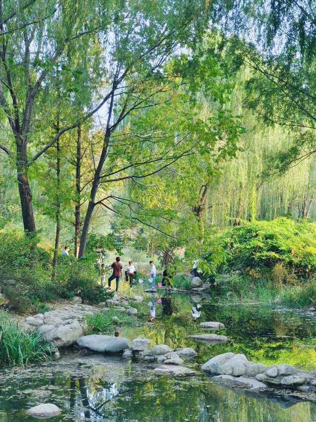 山東濟南森林公園｜邂逅秋天的美！