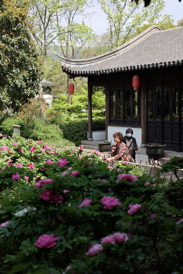 芳菲四月的曾趙園