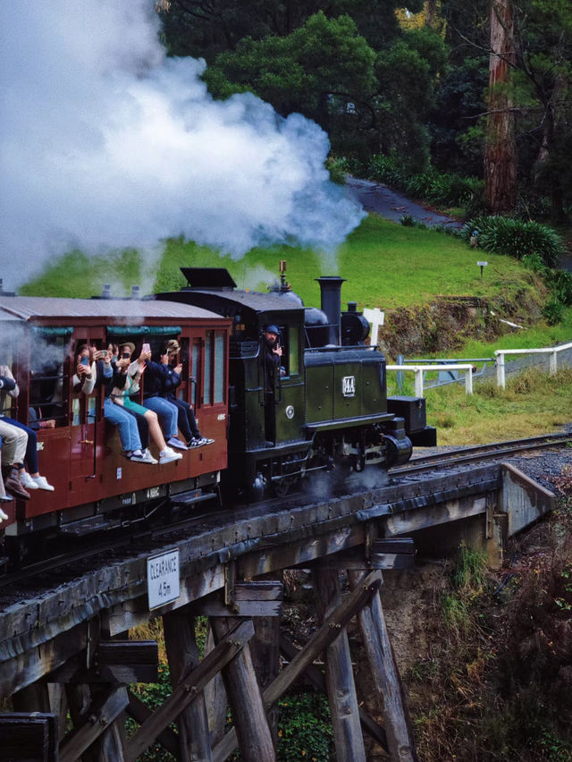Puffing Billy Railway 🚂 Melbourne 🇦🇺