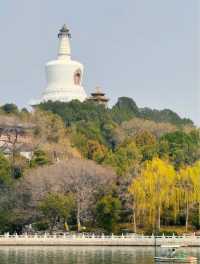 北海公園，北京的寧靜角落