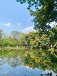 成都周末好去處 | 望江樓公園