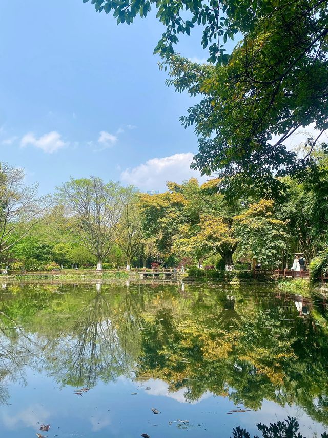 成都周末好去處 | 望江樓公園