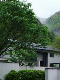 一房一溪一林,住完不想退房的莫干山民宿