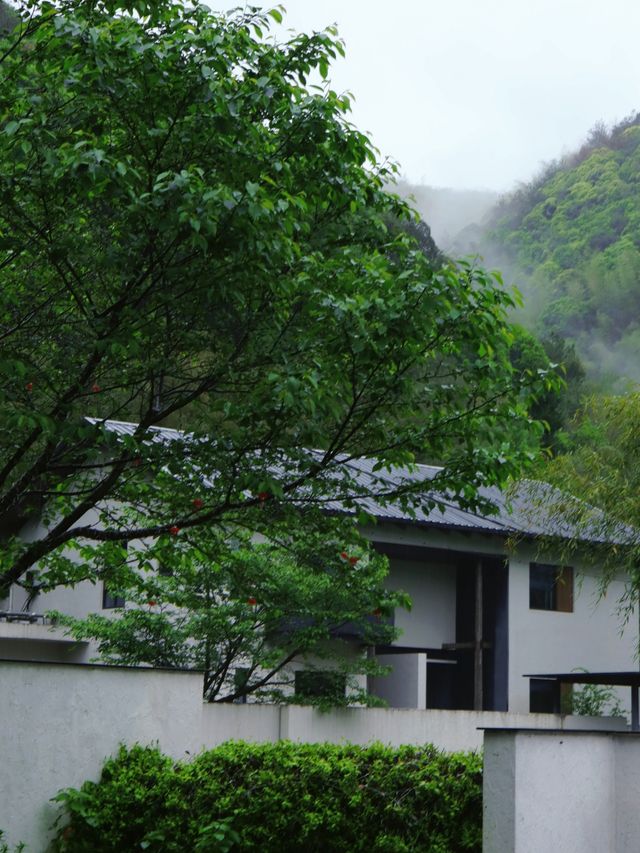 一房一溪一林,住完不想退房的莫干山民宿 一房一溪一林,住完不想退房的莫干山民宿