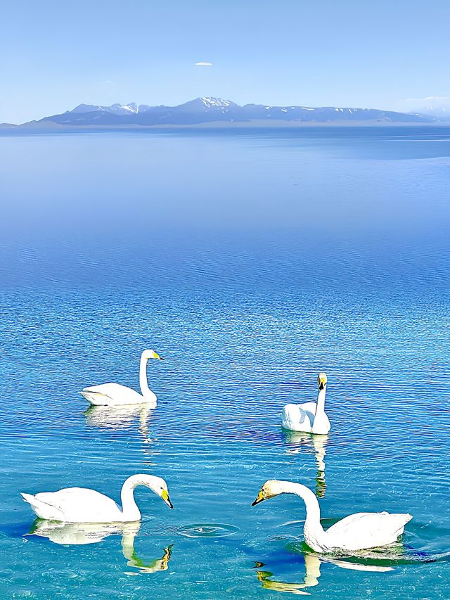 賽里木湖：夏季絕美旅行指南