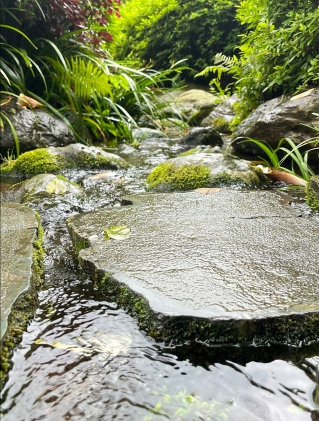 梅州雁南飛茶田景區