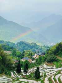 五一出遊好去處麗水雲和梯田