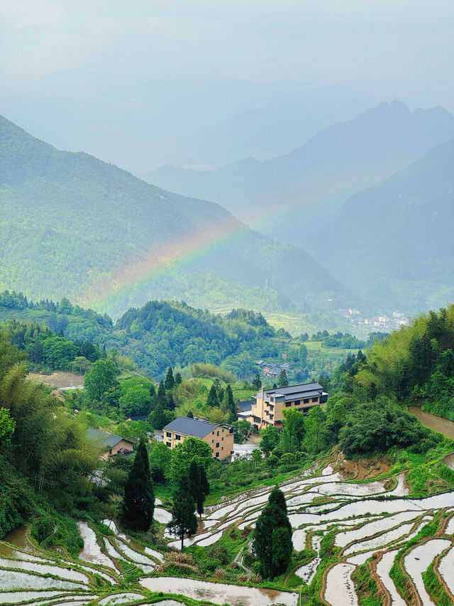 五一出遊好去處麗水雲和梯田